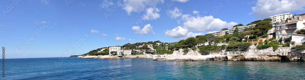 Fototapeta premium cassis