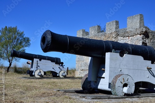 Cannons and magazine at Fort Frederica on Saint Simons Island photo