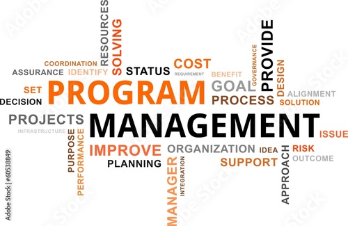 word cloud - program management