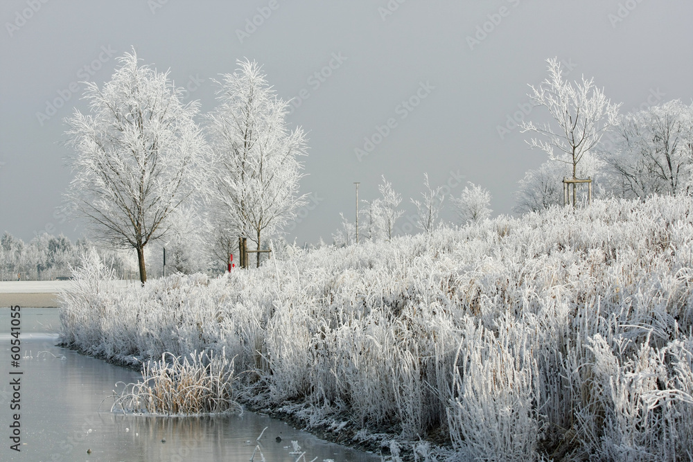 custom made wallpaper toronto digitalSee mit Raureif am Ufer