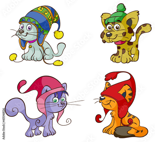 cut cats with cap
