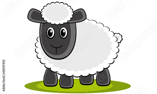 Gray sheep