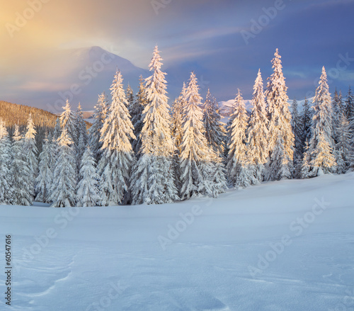 Colorful winter morning in the mountains.