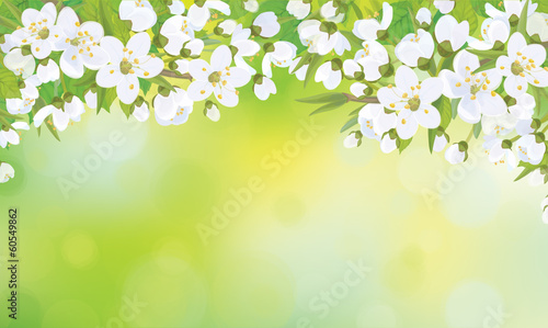 Vector blossoming tree on spring background.
