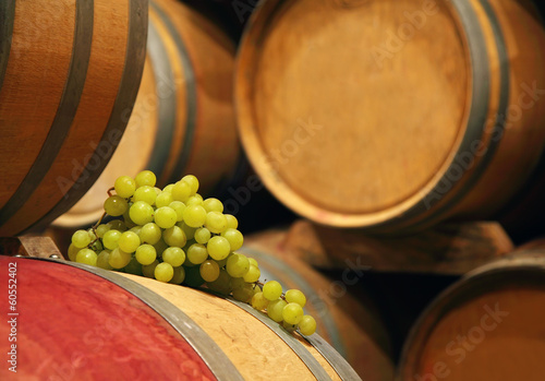 Wine barrels with grape