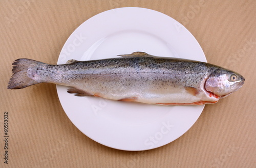 Huge, fresh trout on white plate, abstract