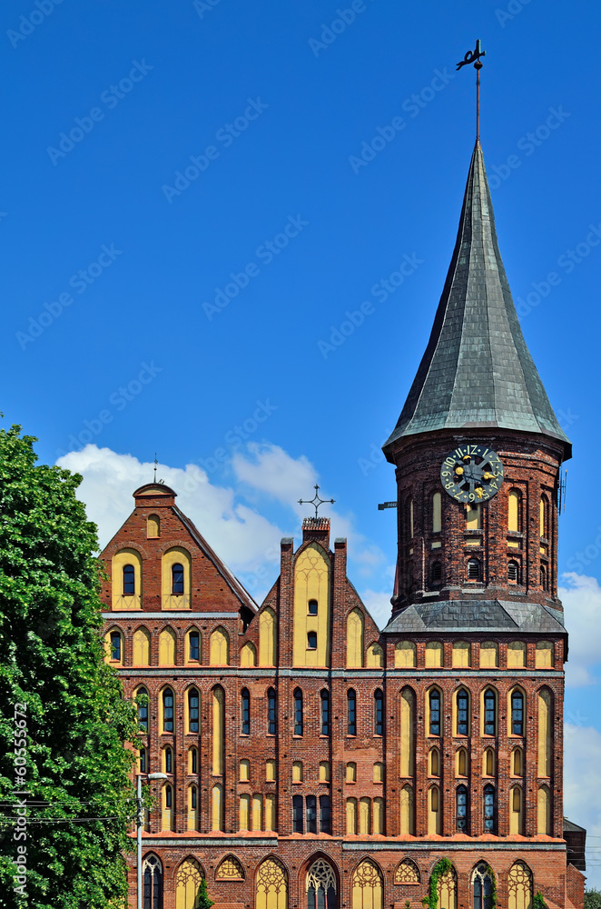 Koenigsberg Cathedral - Gothic temple 14th century. Kaliningrad Koenigsberg Cathedral - Gothic temple 14th century. Kaliningrad
