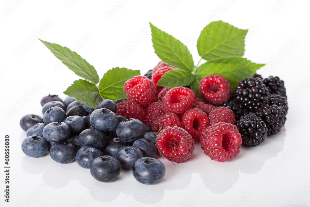 Composition of fresh wildberries Composition of fresh wildberries