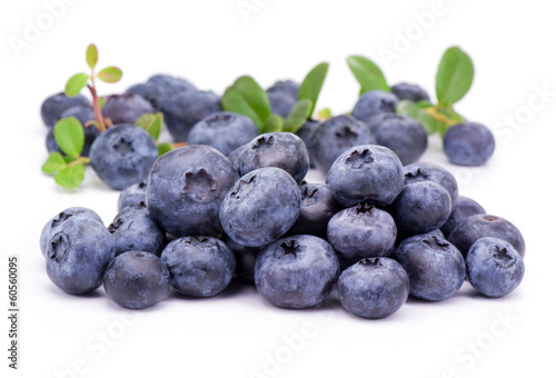 Blueberry with green leaves