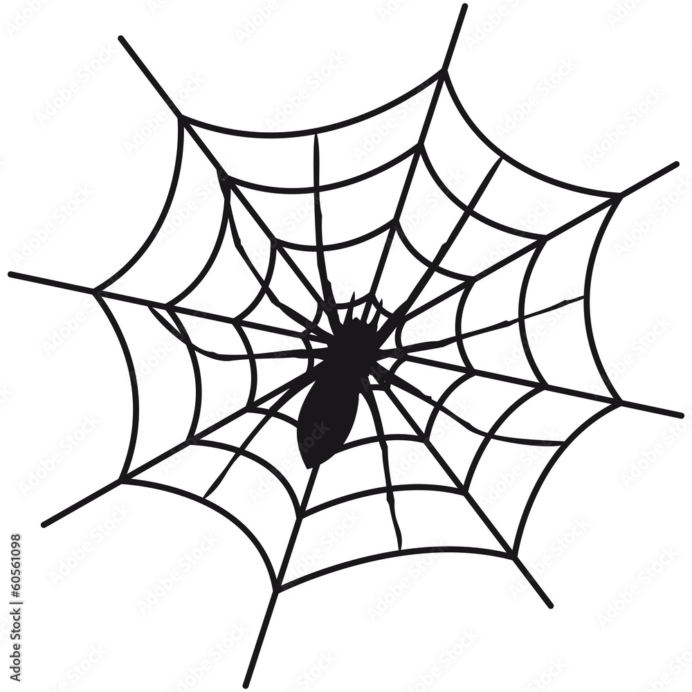 Fototapeta premium Cobweb Spider