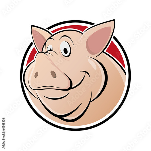 schwein sau