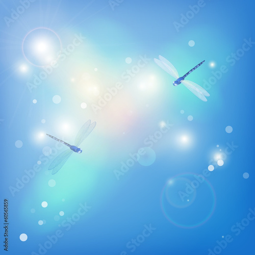 Spring abstract blue background with dragonflies