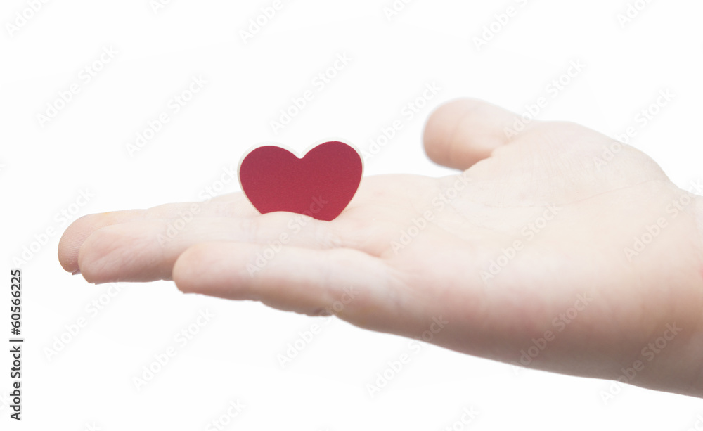 hands hold a red heart on white background