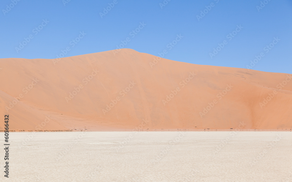 View over the deadvlei with the famous red dunes of Namib desert View over the deadvlei with the famous red dunes of Namib desert