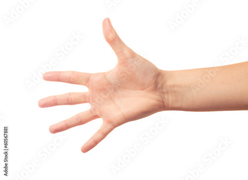 Human hand five fingers