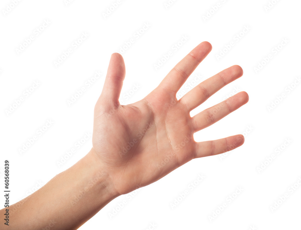 Five fingers isolated on white background