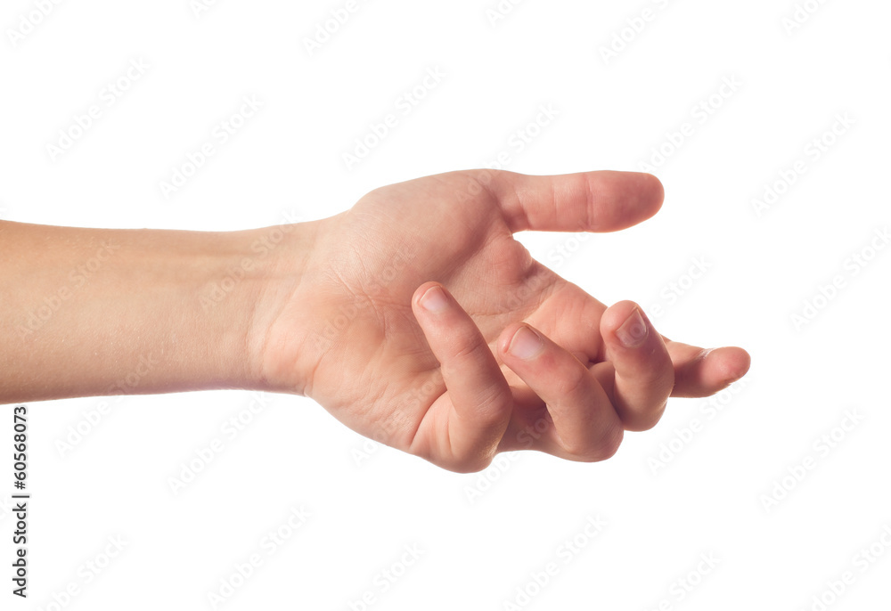 Human palm Human palm