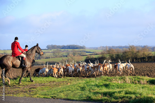 Horse and hounds