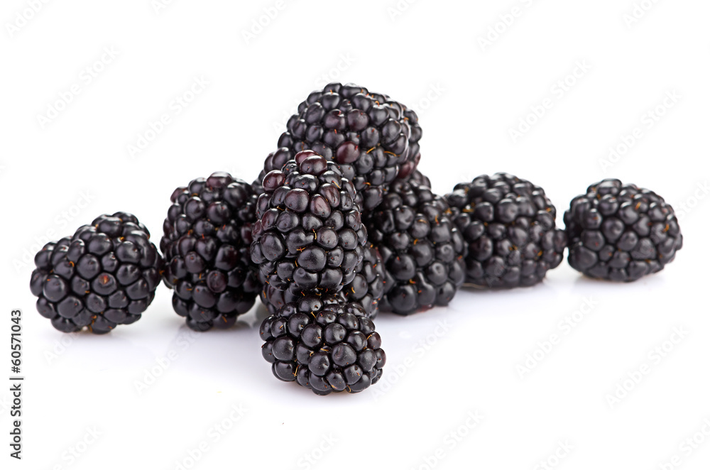 blackberry blackberry