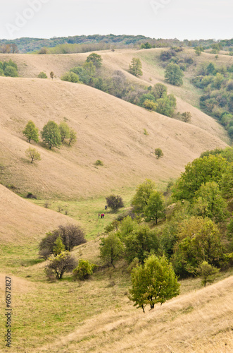 Valley between small hills covered with yellow grass