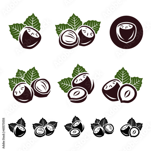 Hazelnut nuts set. Vector