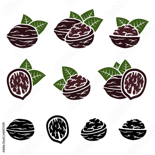 Walnut set. Vector