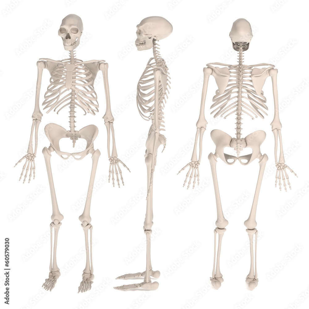 realistic 3d render of homo erectus realistic 3d render of homo erectus