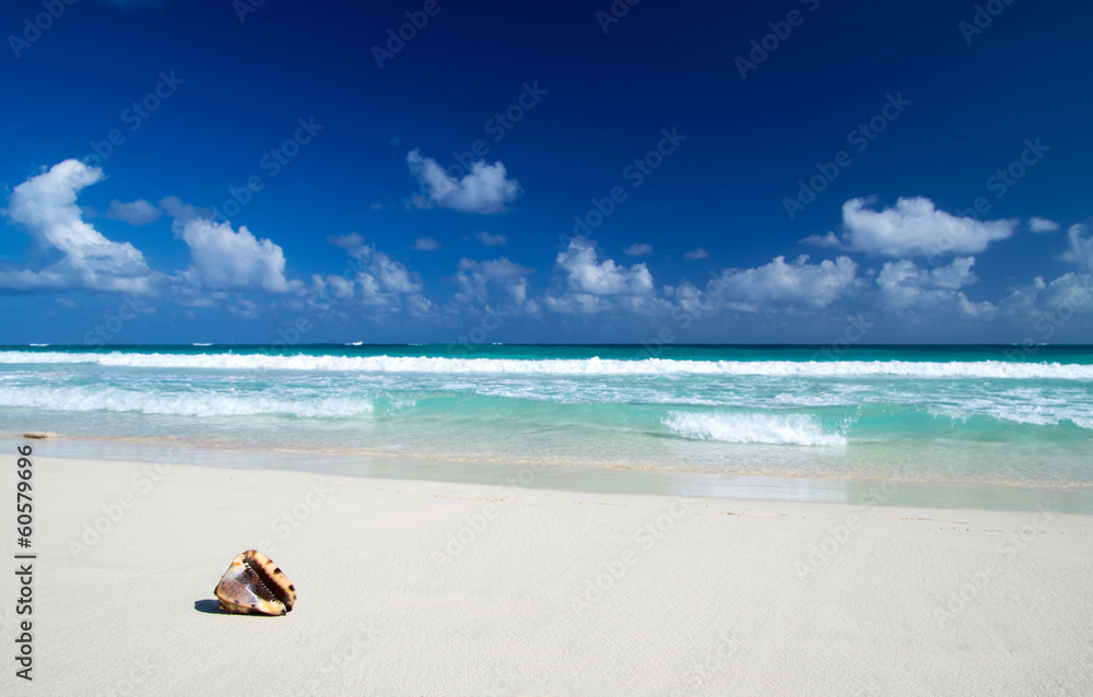 caribbean beach