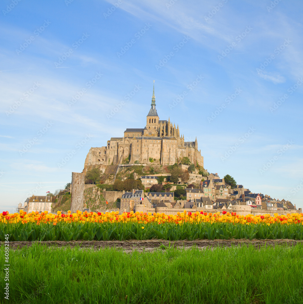 Obraz premium mount of Mont Saint Michel, France