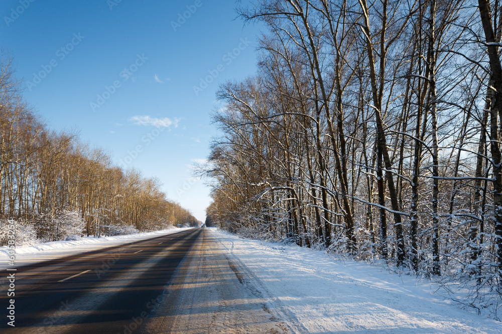 Obraz premium road in winter
