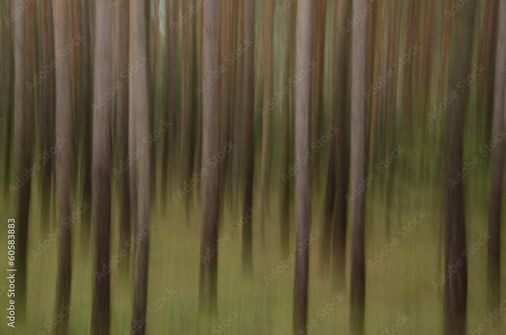 Fototapeta premium Wald abstrakt