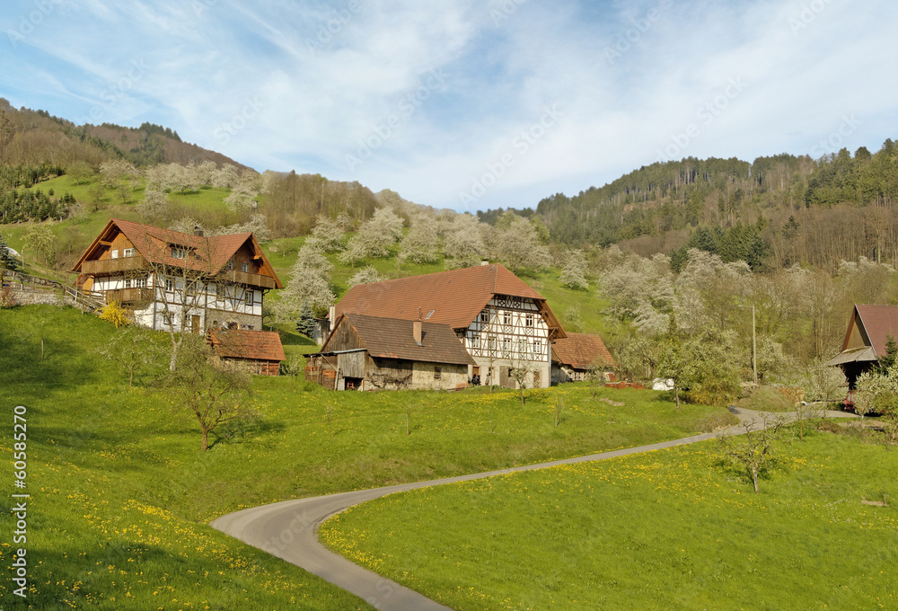 Fototapeta premium Schwarzwalddorf im Frühling