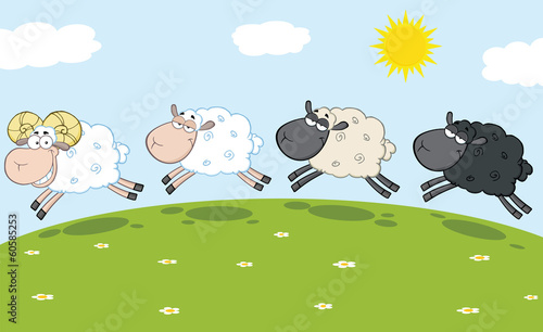 Smiling Ram Sheep Leading Three Sheep