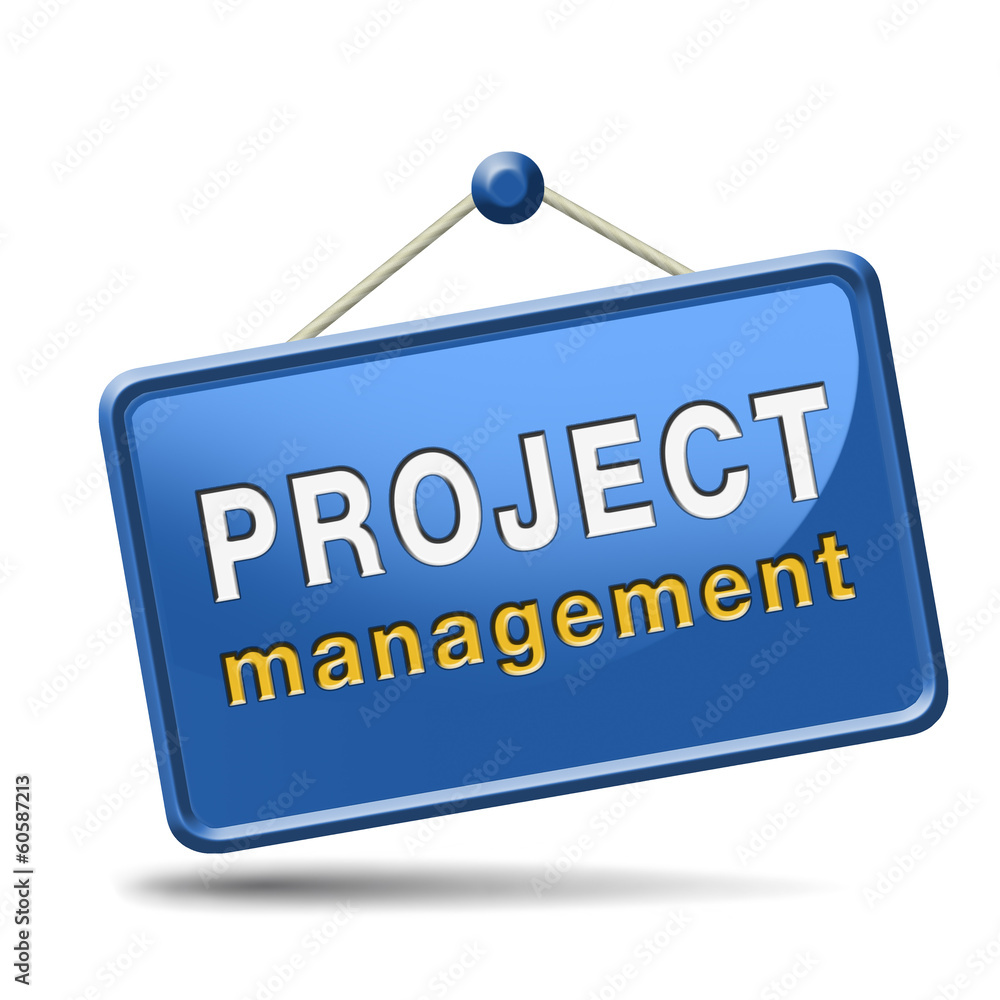 project management