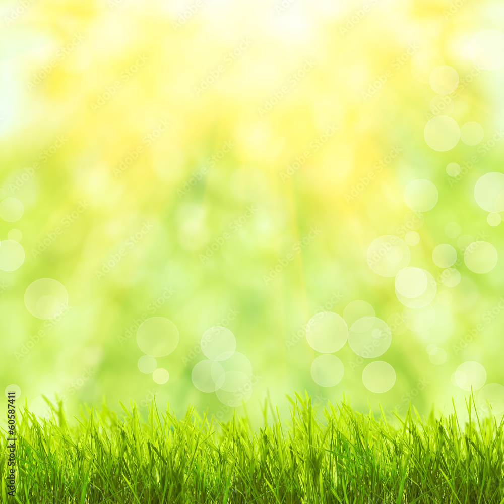 Green grass over sunlight