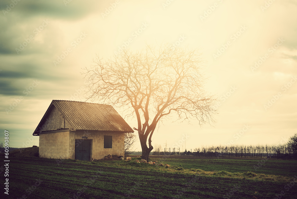 Fototapeta premium Lonely old house
