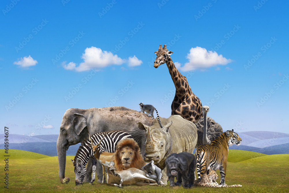 Obraz premium Wild animals group