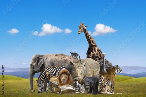 Wild animals group