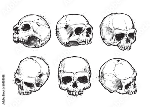 Hand-drawn skulls