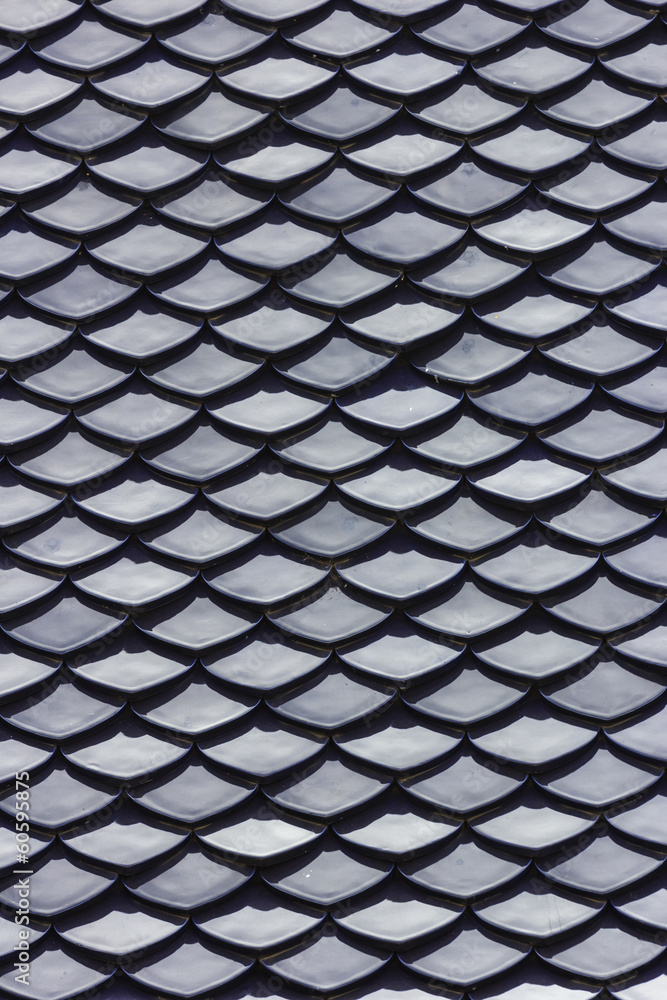 tile roof tile roof