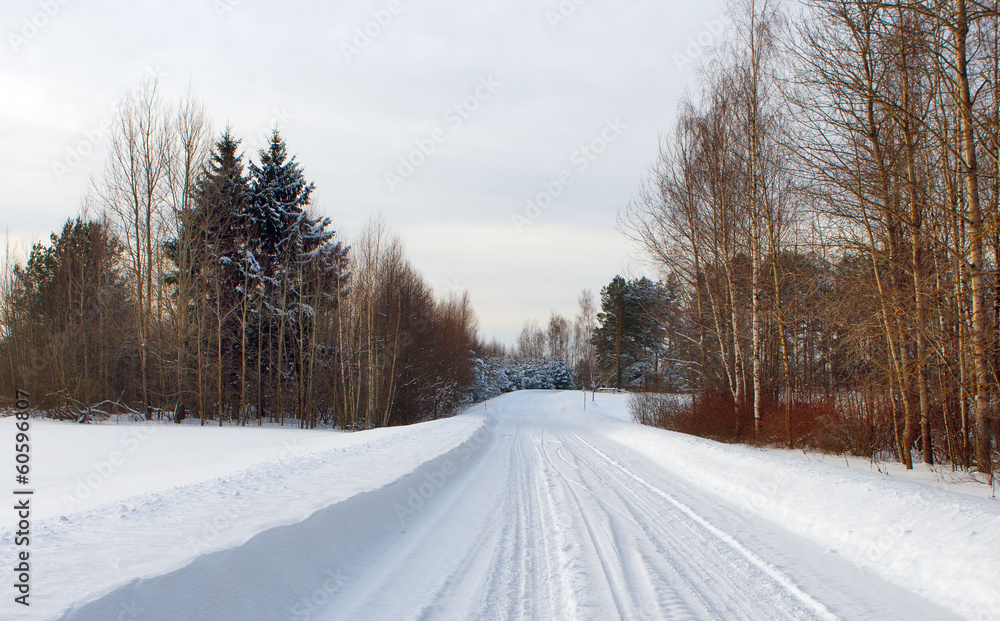 Winter forest with snow road Winter forest with snow road