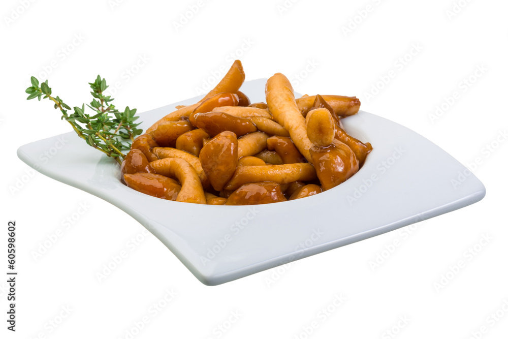 Fototapeta premium Armillaria