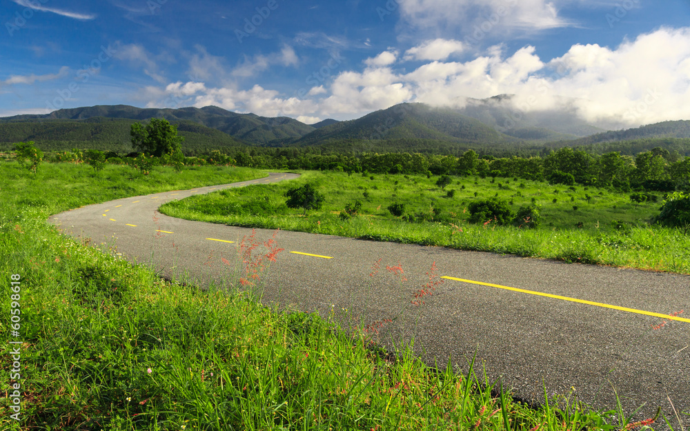 Beautiful countryside road in green field under blue sky