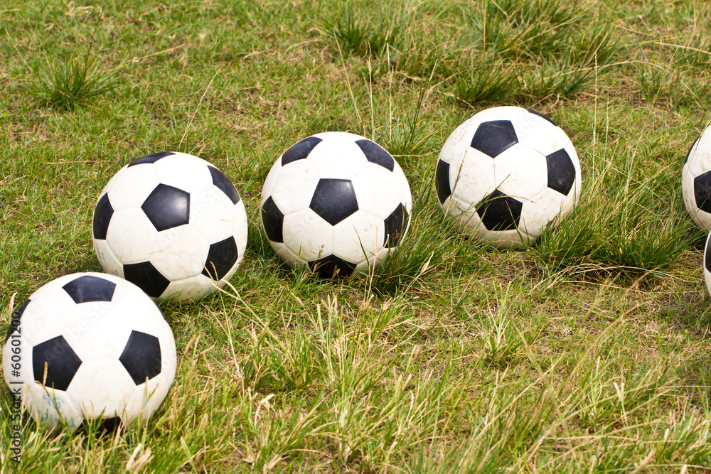 Fototapeta premium soccer ball on green grass