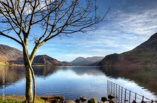 Tree on the shore of Ennerdale Water photo