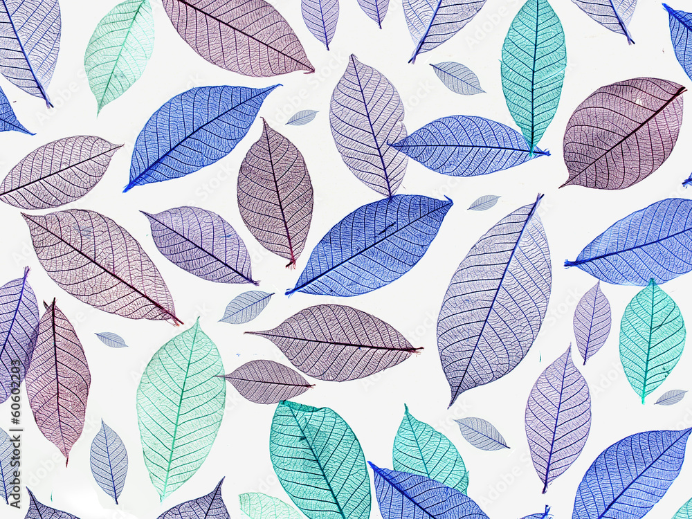 Obraz premium Leaves