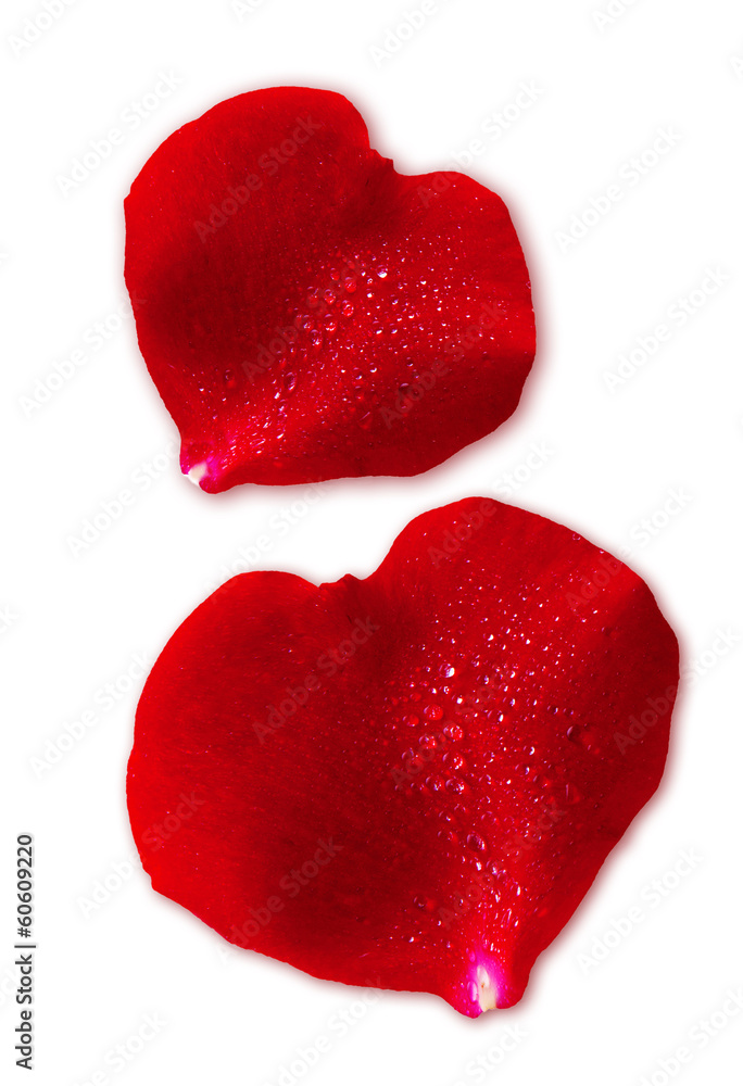 Two red Valentin `s Day heart isolated on white. Two red Valentin `s Day heart isolated on white.