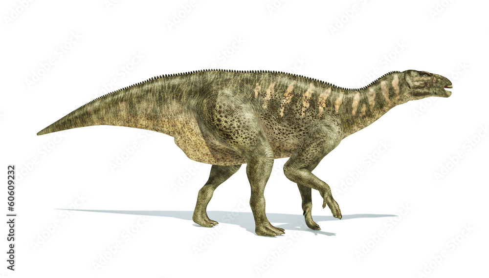 Iguanodon Dinosaur photorealistic representation, side view. Iguanodon Dinosaur photorealistic representation, side view.