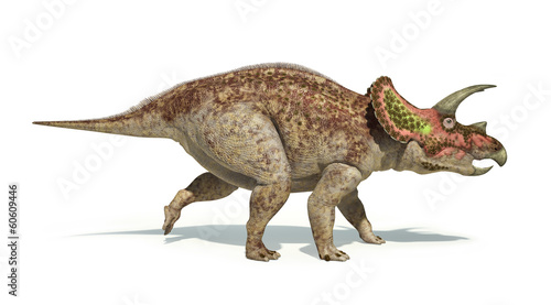 Triceratops dinosaur photorealistic and scientifically correct r