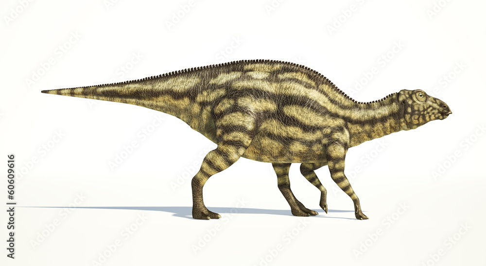 Maiasaura dinosaur, young child, photorealistic representation. Maiasaura dinosaur, young child, photorealistic representation.